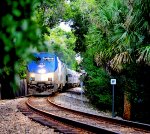 176 - Amtrak Silver Meteor